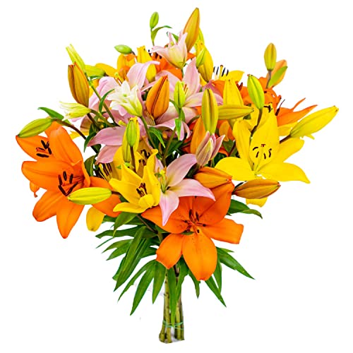 10 Multi-Bud Stems: Fresh Cut Royal Lilies Bouquet for Thanksgiving, Fall, Birthday, or Anniversary - Overnight Prime Delivery