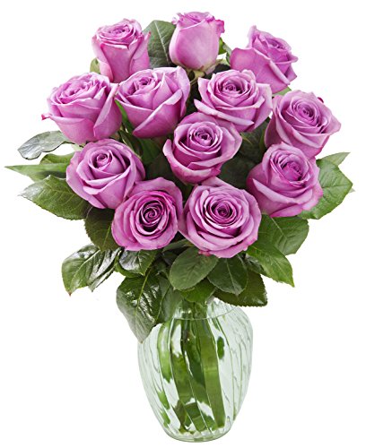 12 Fresh Cut Purple Roses with Vase: A Prime Next Day Delivery Gift for Various Occasions