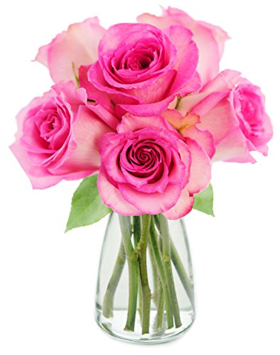 6 Fresh Cut Pink Roses with Vase: Prime Next Day Delivery for Birthday, Sympathy, Anniversary, and More!