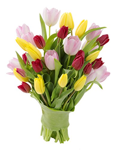 Assorted Tulips Bouquet: 30-Count Prime Next Day Delivery for Special Occasions