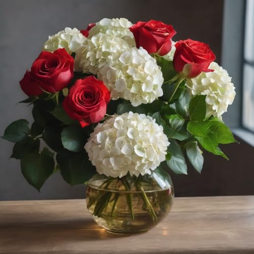 KaBloom PRIME NEXT DAY DELIVERY - Holiday Collection: 6 Red Rose and 2 White Hydrangeas with Vase (Delivery Prime)