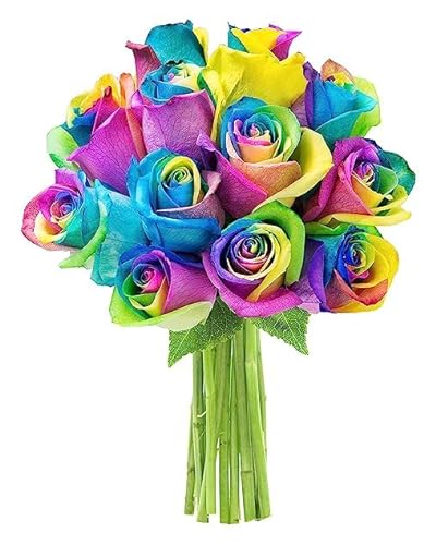 KaBloom PRIME OVERNIGHT DELIVERY: 12 Long-Stemmed Rainbow Rose Bouquet - Farm Fresh and Beautiful