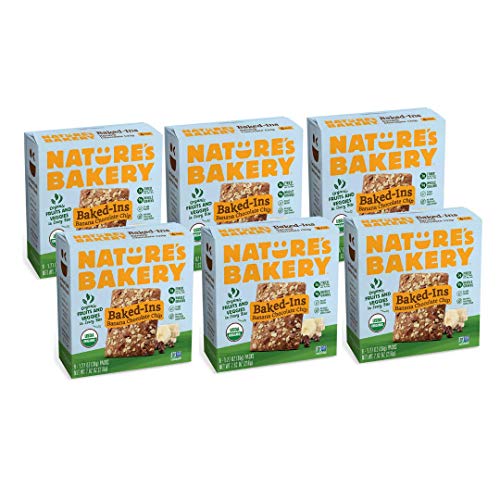 Organic Vegan Snack: Nature’s Bakery Baked-Ins Bars Banana Chocolate Chip, 6 Count (Pack of 6)