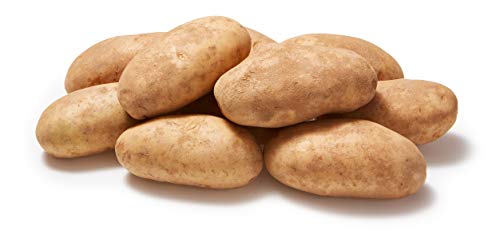 russet-potatoes-5-lb-affordable-amazon-fresh-brand