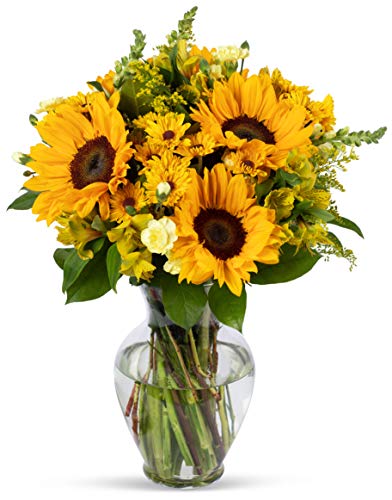 Top Bouquet Recommendations: Rays of Sunshine Bouquet, Prime Delivery, Free Vase, Fresh Farm Direct Flowers for Anniversary, Birthday, and More